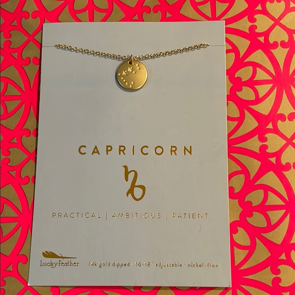 LUCKY FEATHER 14k dipped Gold Capricorn Necklace. nickel free…NWT